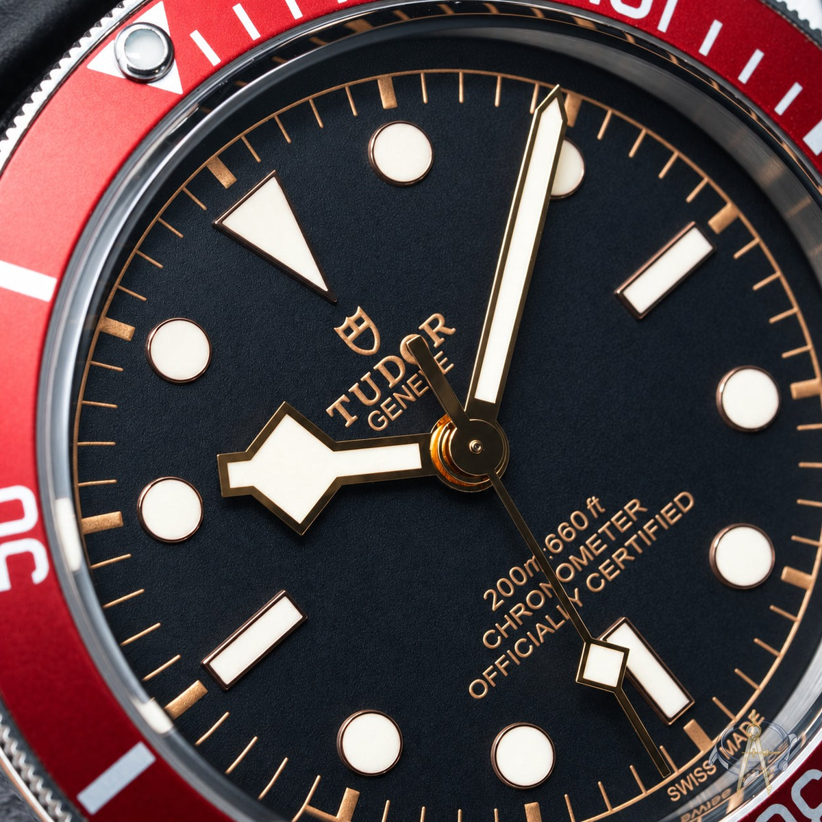 Tudor Black Bay Heritage Burgundy | 79230R-0005 | 41 | Steel | Box & Extra Strap